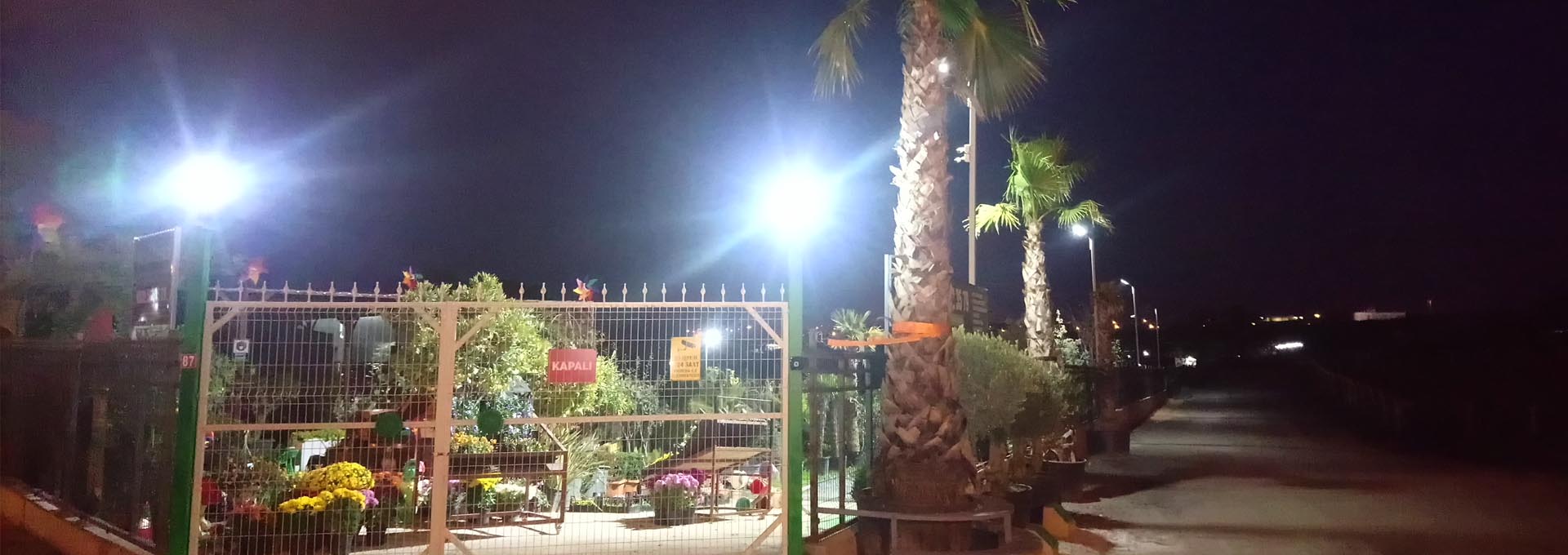 Yeşil Tarım,Peyzaj, Bahçe Kültürleri